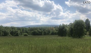 Działka rolno-budowlana Grudza