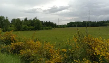 Działka na sprzedaż bez pośredników 
 
 Pęplino - View 5