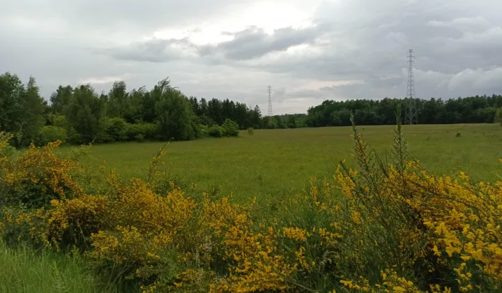 Działka budowlana Charnowo