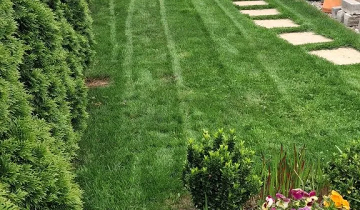 Mieszkanie 3-pokojowe Szczecin Gumieńce, ul. Polskich Marynarzy