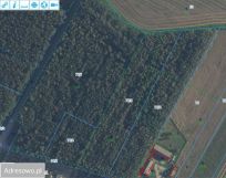 Działka leśna Gałki. Zdjęcie 3