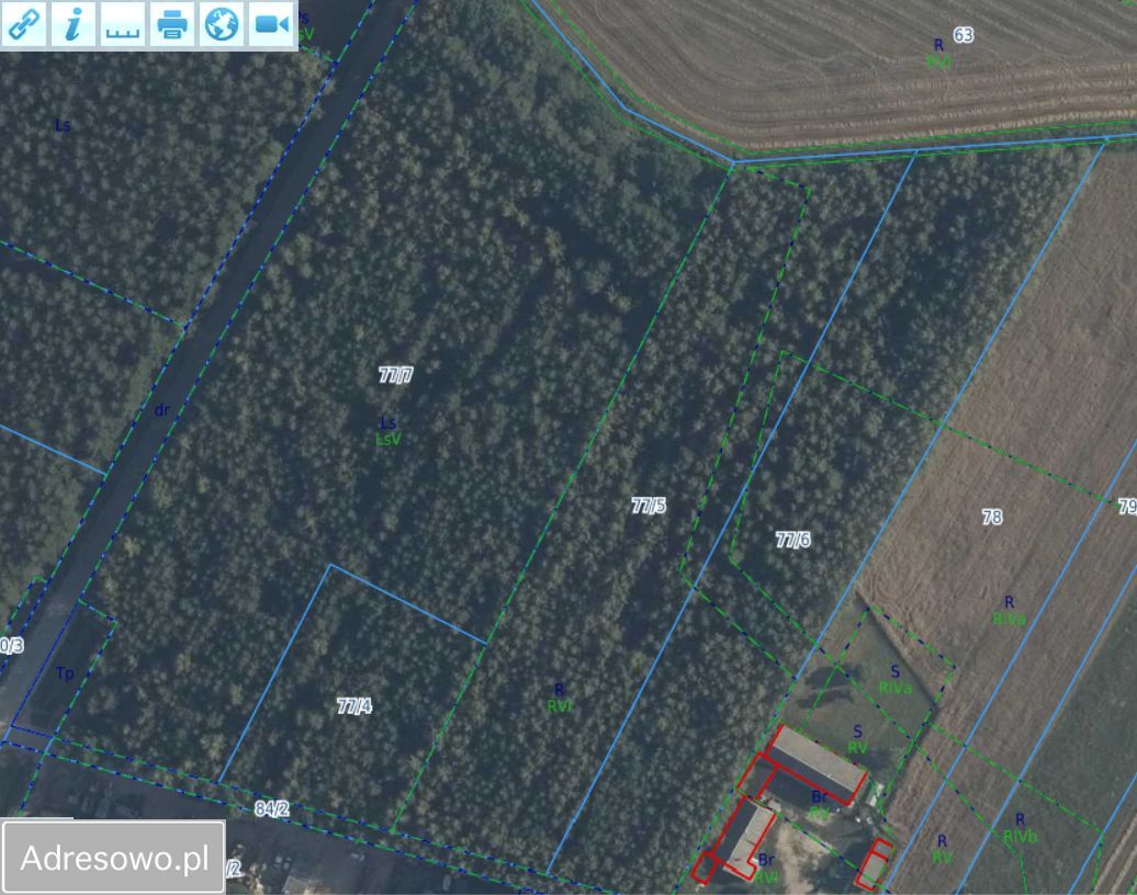 Działka leśna Gałki. Zdjęcie 4