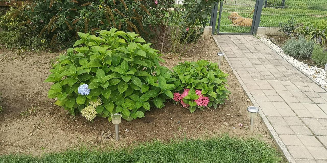 Działka rekreacyjna Wawrów. Zdjęcie 15