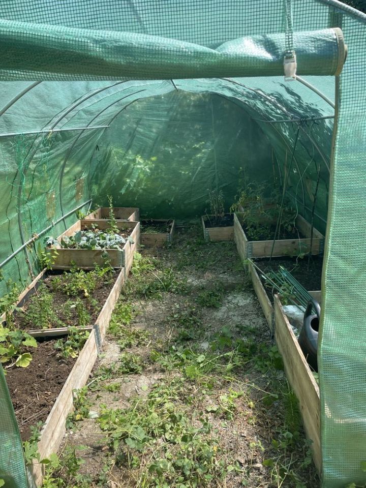 Działka rekreacyjna Szczecin Golęcino, ul. Wendeńska. Zdjęcie 4