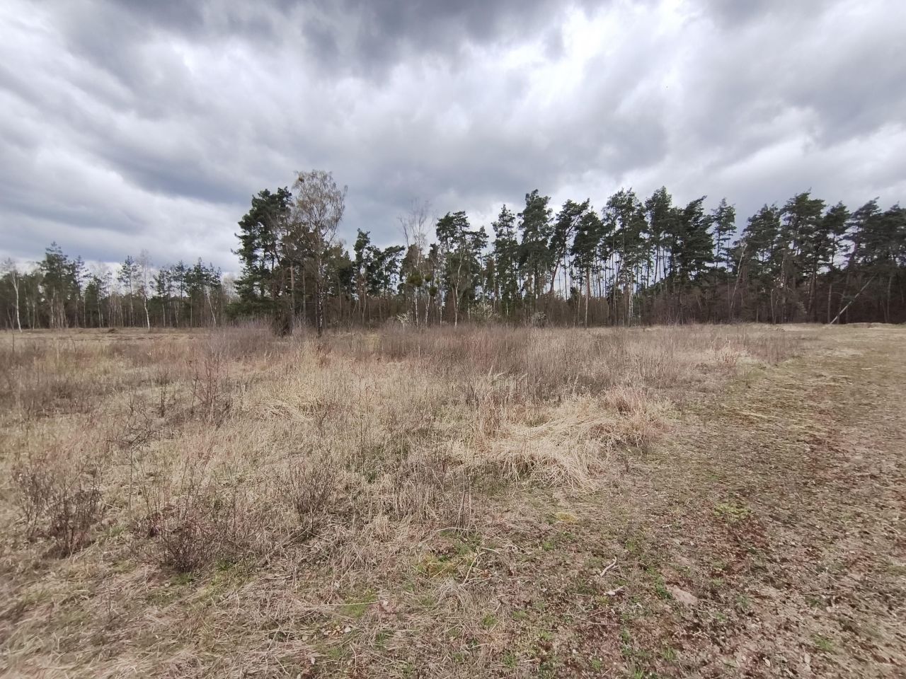 Działka rekreacyjna Bielin. Zdjęcie 4