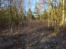 Działka budowlana Cychry. Zdjęcie 1