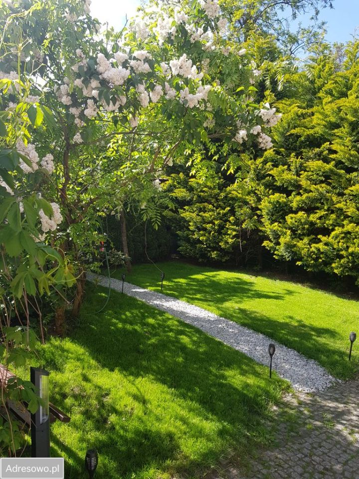 dom wolnostojący, 5 pokoi Zielona Góra Centrum. Zdjęcie 9