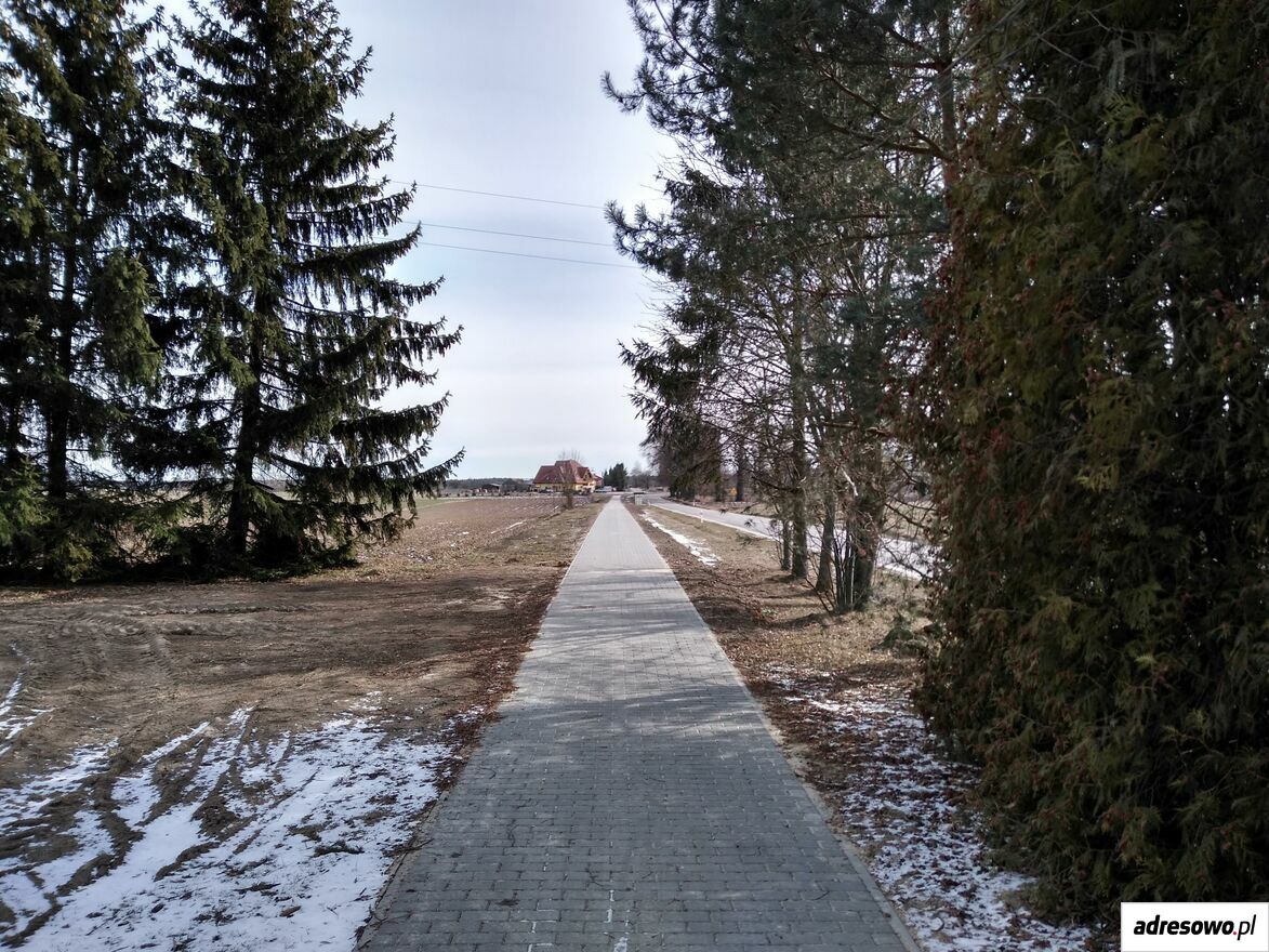 Działka Staw Noakowski. Zdjęcie 3