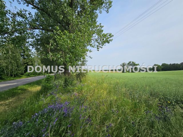 Działka rolna Gałkówek-Parcela. Zdjęcie 6