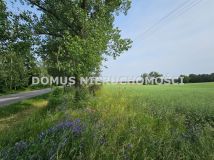 Działka rolna Gałkówek-Parcela. Zdjęcie 4