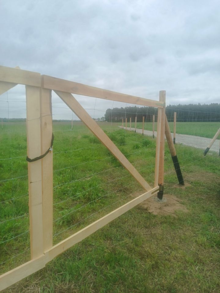 Działka budowlana Borówno. Zdjęcie 5