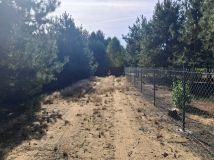 Działka rekreacyjna Zuzinów. Zdjęcie 4