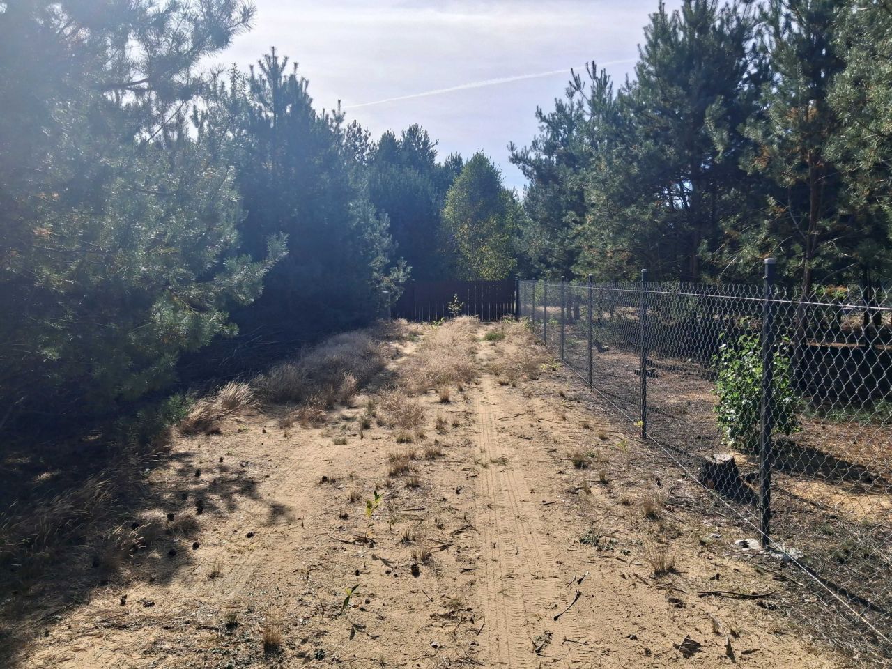 Działka Zuzinów. Zdjęcie 5