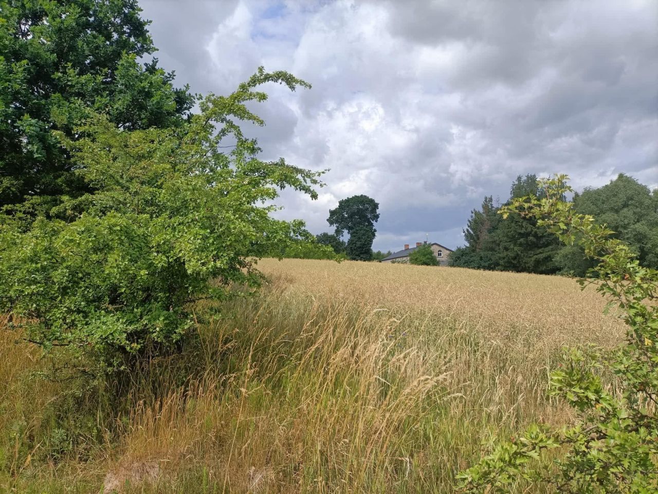 Działka budowlana Cieszeniewo. Zdjęcie 6