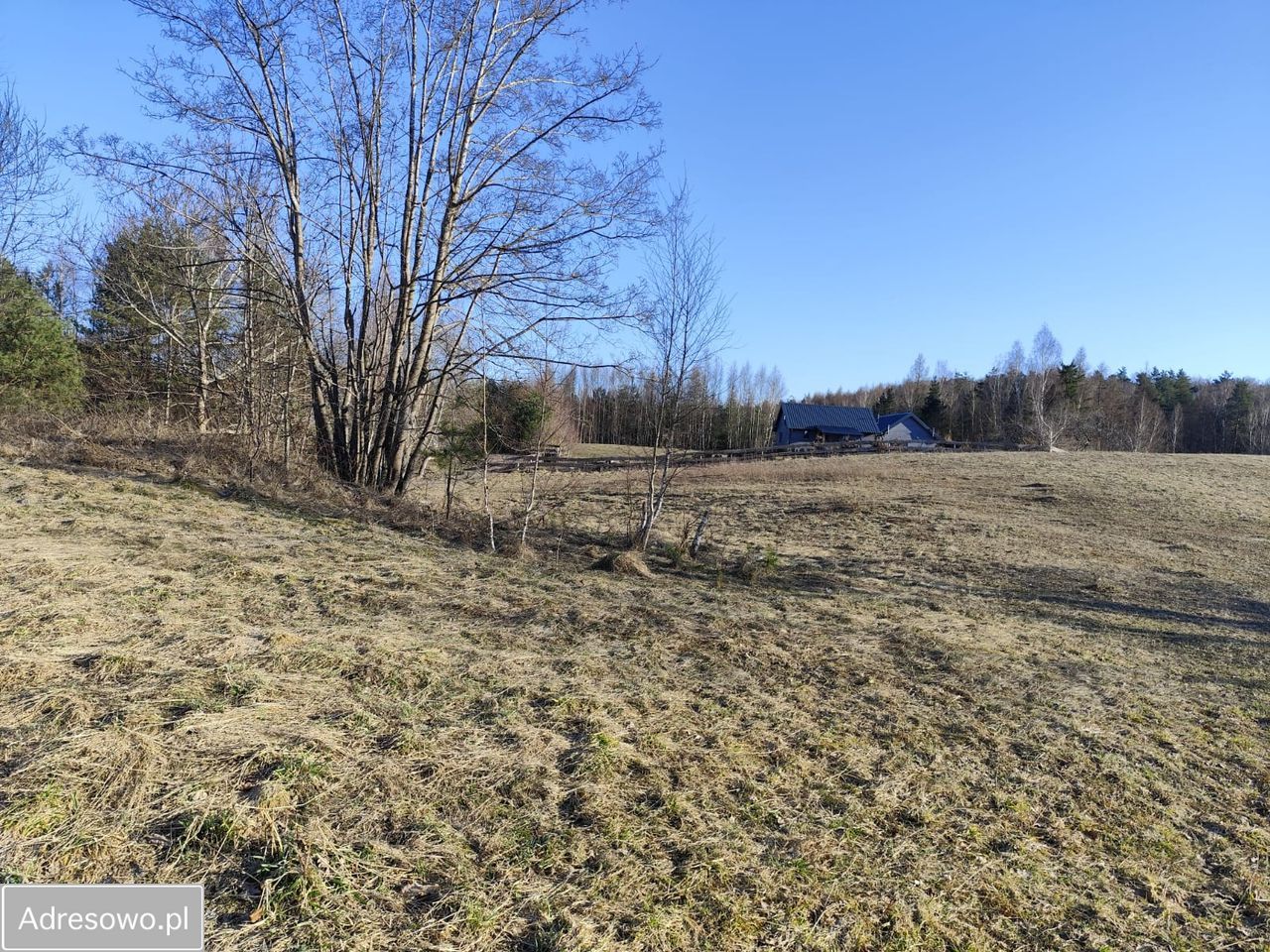 Działka rolna Ełganowo, ul. Świerkowa. Zdjęcie 9