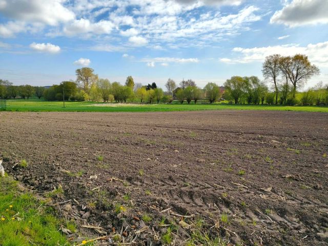 Działka budowlana Wilków. Zdjęcie 1