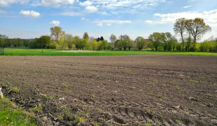 Działka budowlana Wilków