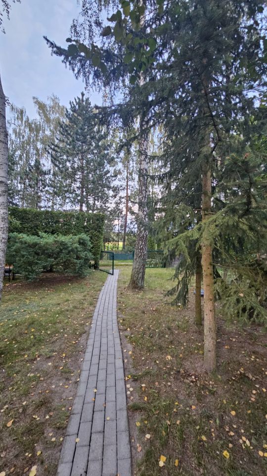 Działka rod Grochowa, ul. Zbigniewa Pawlaka. Zdjęcie 17