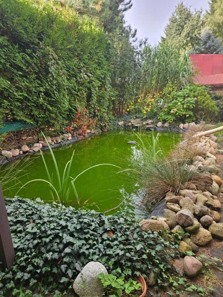 Działka rekreacyjna Krasne. Zdjęcie 8