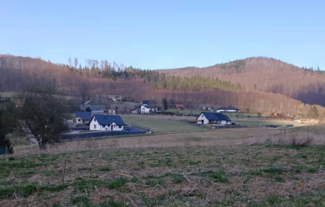 Działka rolno-budowlana Dzikowiec. Zdjęcie 1