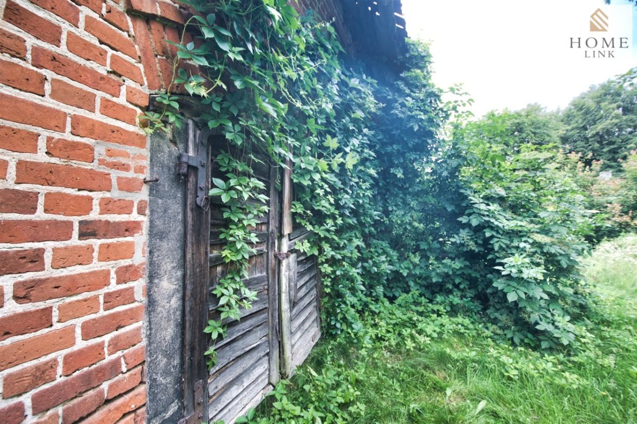 siedlisko, 4 pokoje Raciszewo. Zdjęcie 12