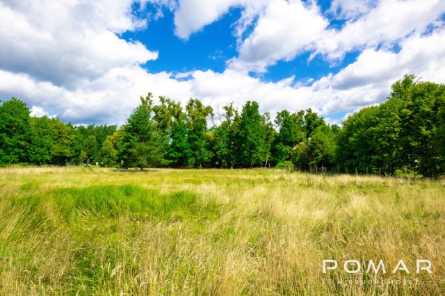 Działka budowlana Rudy, ul. Kolonia Renerowska. Zdjęcie 1