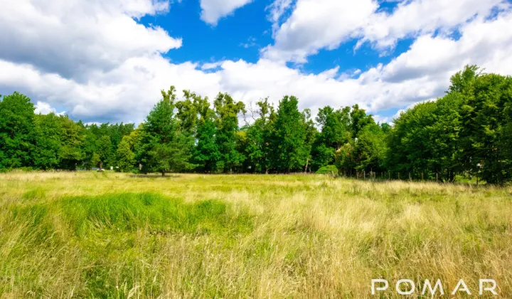 Działka budowlana Rudy, ul. Kolonia Renerowska