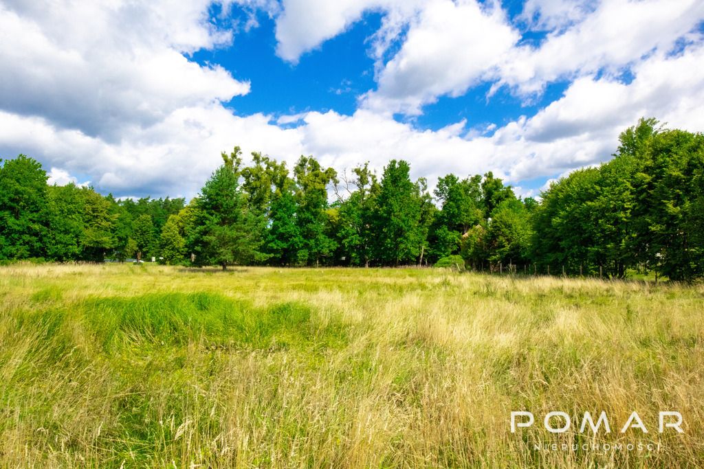 Działka budowlana Rudy, ul. Kolonia Renerowska