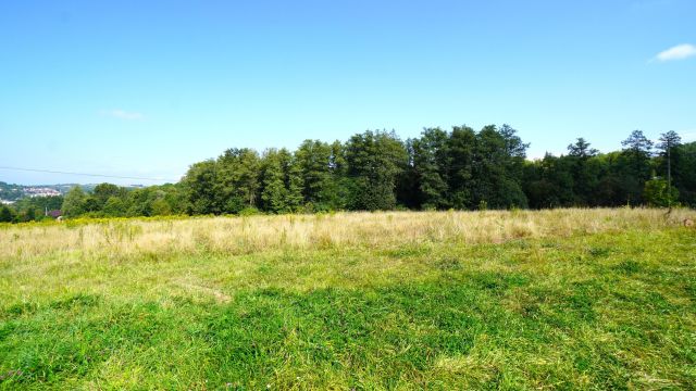 Działka rolno-budowlana Biecz. Zdjęcie 4