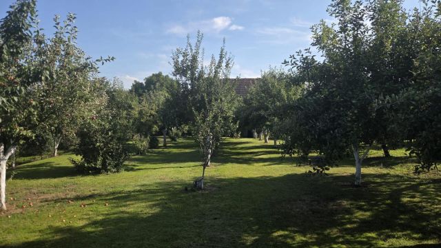 Działka budowlana Przeworno, ul. Szkolna. Zdjęcie 1