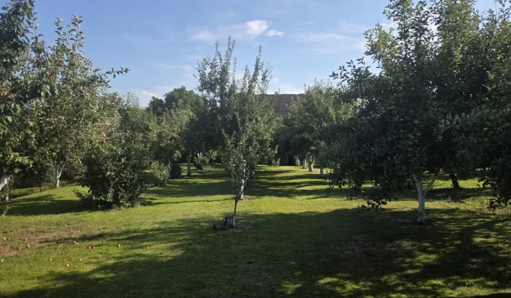 Działka budowlana Przeworno, ul. Szkolna