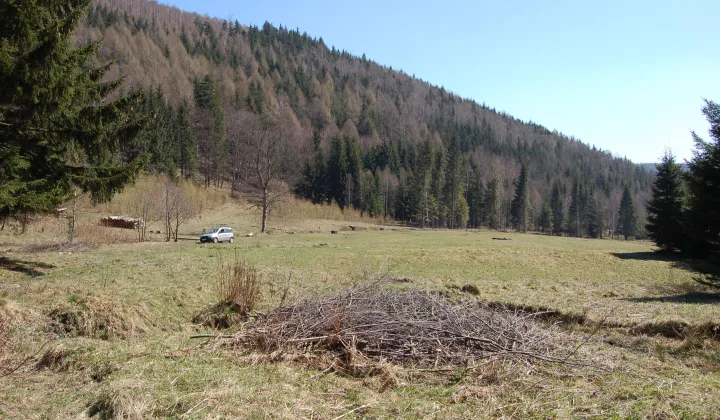 Działka rolna Jarkowice