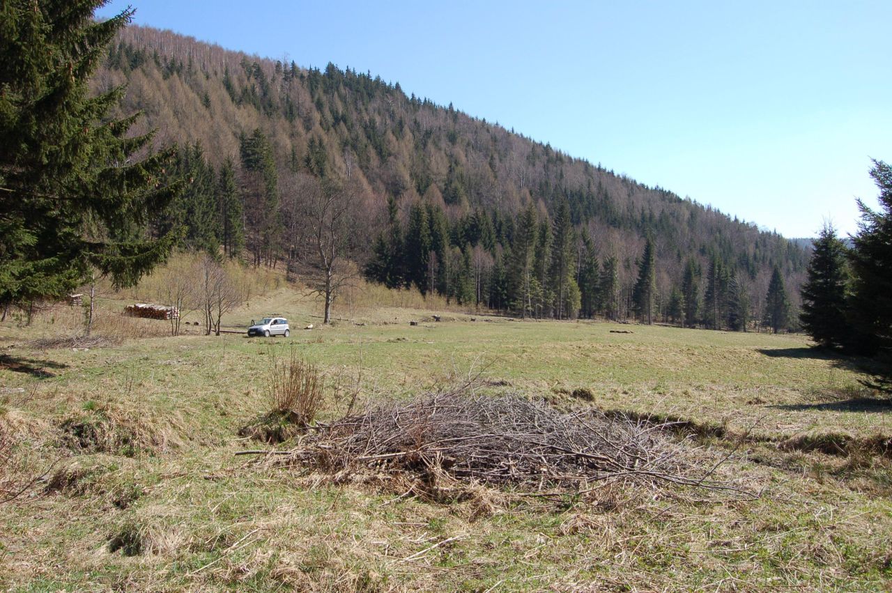 Działka rolna Jarkowice