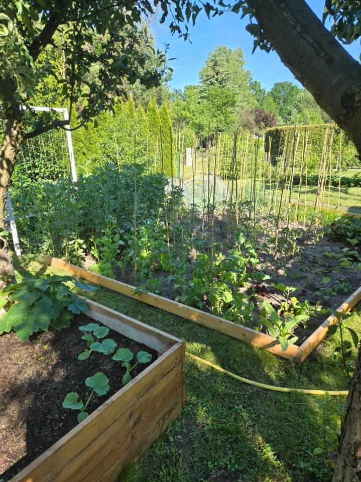 Działka rod Warszawa Rembertów. Zdjęcie 8