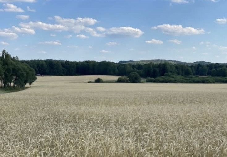 bliźniak Kluczkowo. Zdjęcie 7