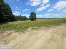 Działka rolna Droszków. Zdjęcie 3