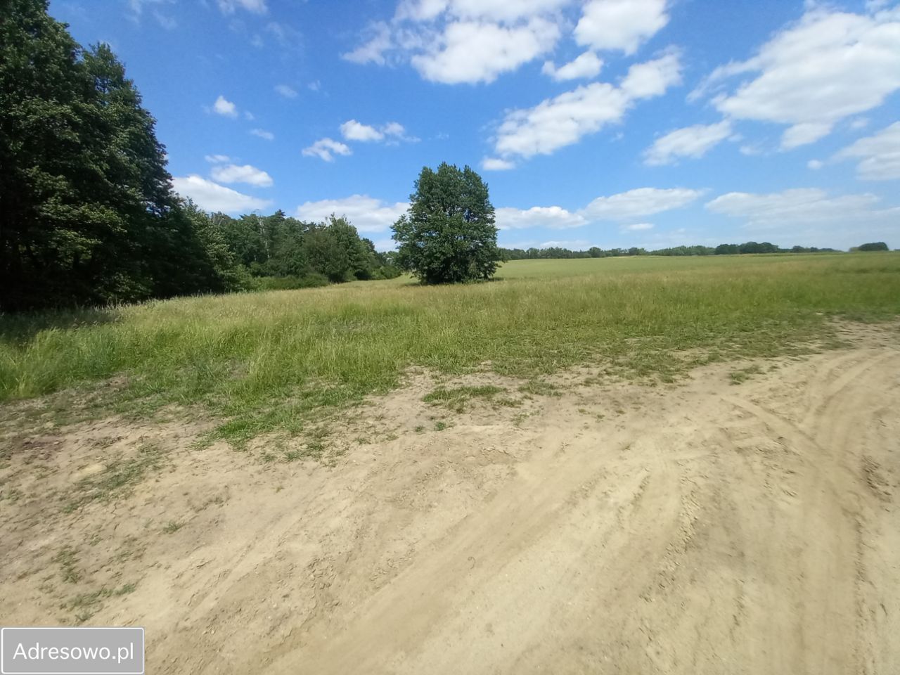 Działka rolna Droszków. Zdjęcie 4