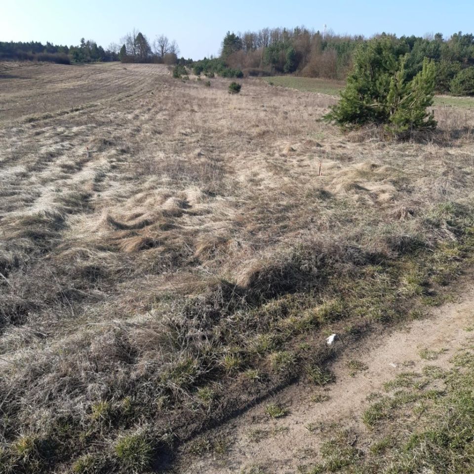 Działka budowlana Kowala Kowala Mała. Zdjęcie 3