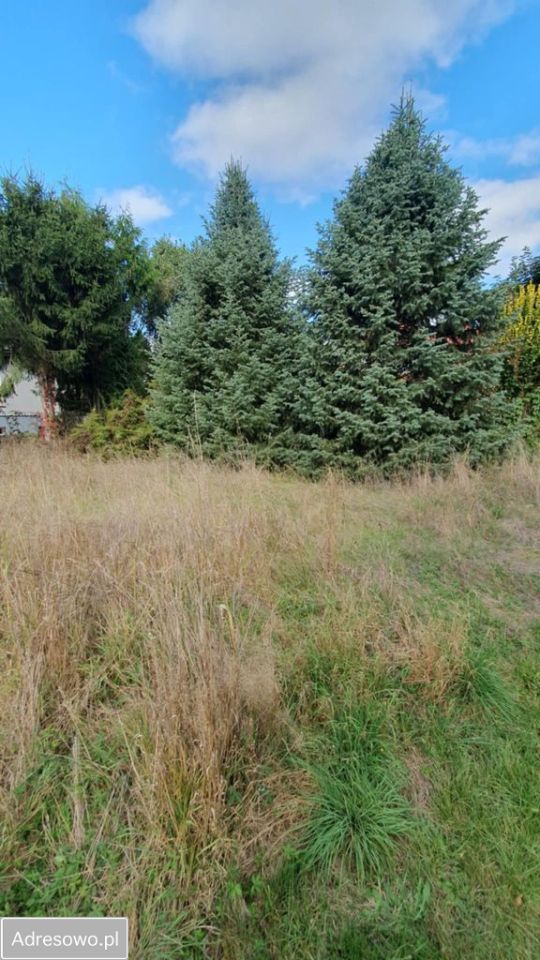 Działka budowlana Michałów-Grabina, ul. Przyrodnicza. Zdjęcie 6