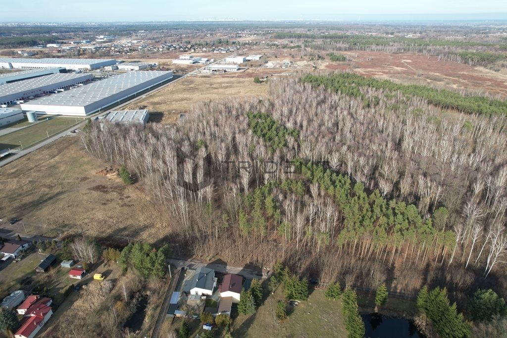 Działka budowlana Baniocha, ul. Podleśna. Zdjęcie 8