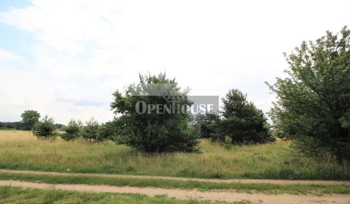 Działka budowlana Górczyna