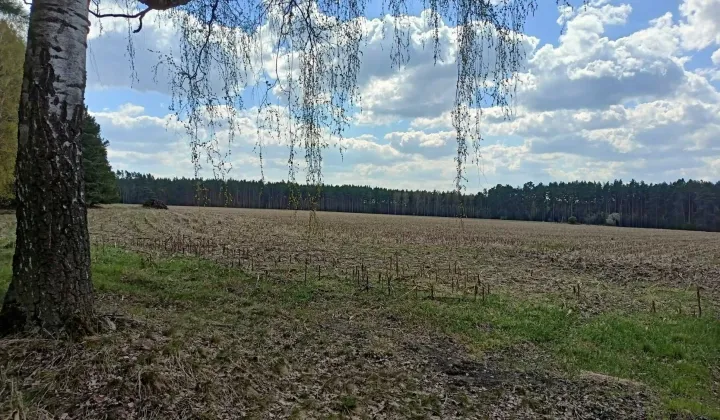 Działka rolna Tarnawa Krośnieńska