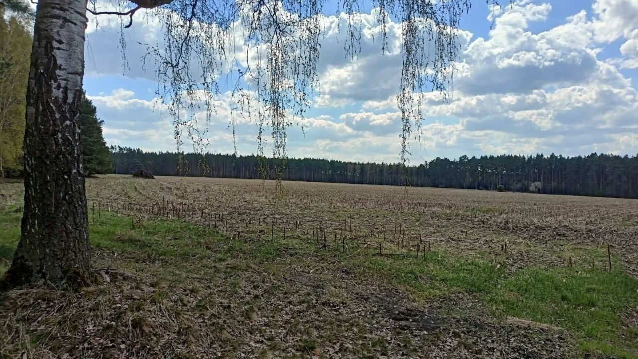 Działka rolna Tarnawa Krośnieńska. Zdjęcie 1