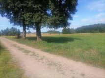 Działka rolno-budowlana Młodocin Większy. Zdjęcie 3