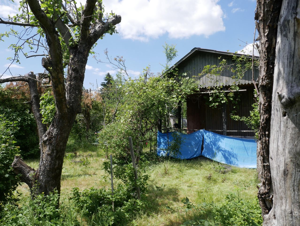 Działka rod Rzeszów Staromieście, ul. Jana Welca. Zdjęcie 2