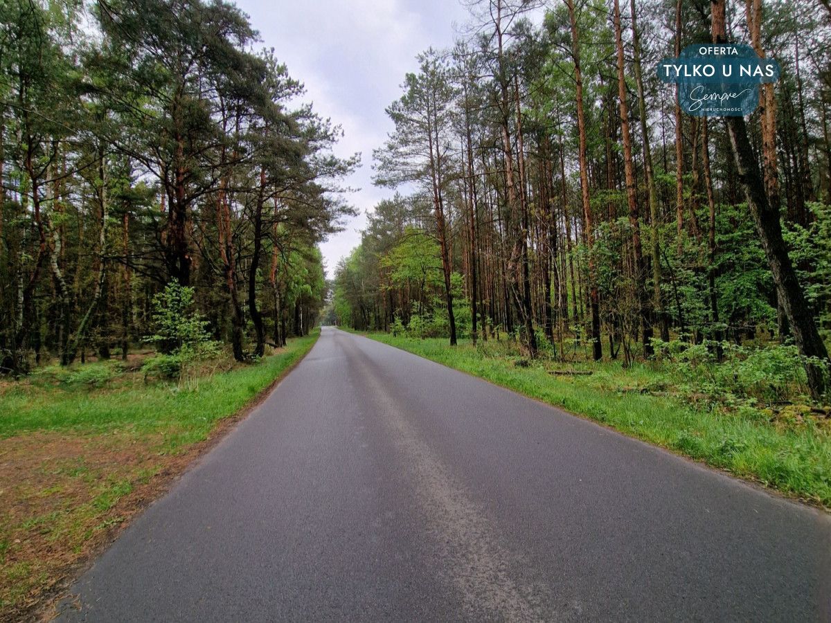 Działka budowlana Panaszew. Zdjęcie 21