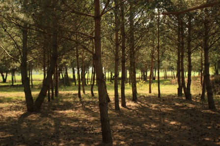 Działka budowlana Władysławowo