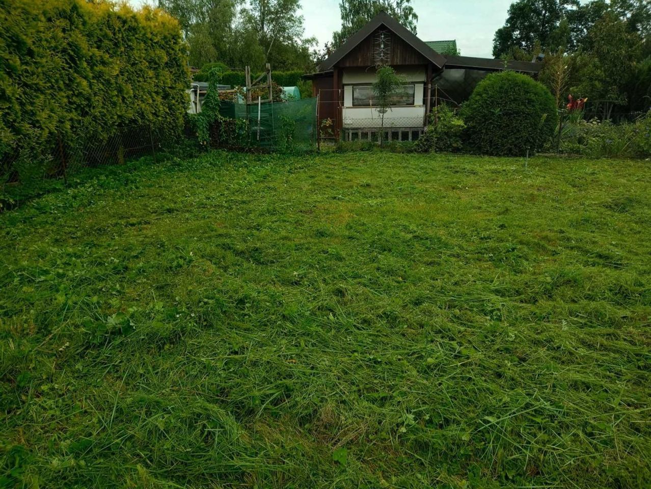 Działka rod Węgorzewo. Zdjęcie 2