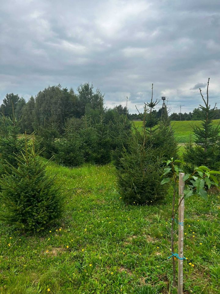 Działka budowlana Dominikowice. Zdjęcie 5