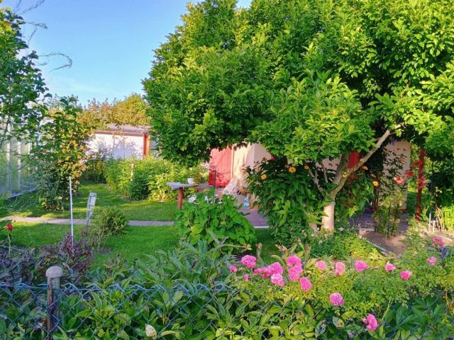 Działka rod Piotrków Trybunalski, ul. Brzeźnicka. Zdjęcie 1